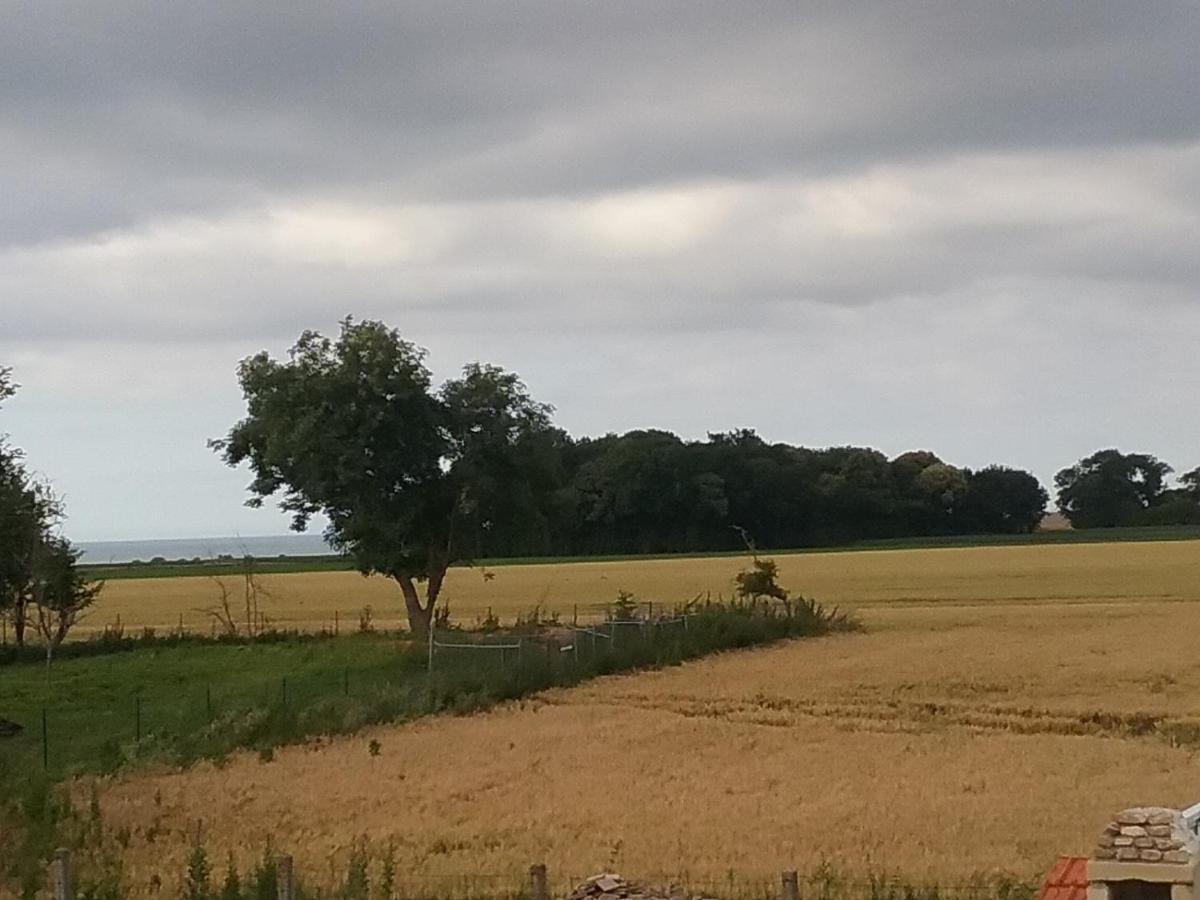 Cottage B2 Bazenville Buitenkant foto